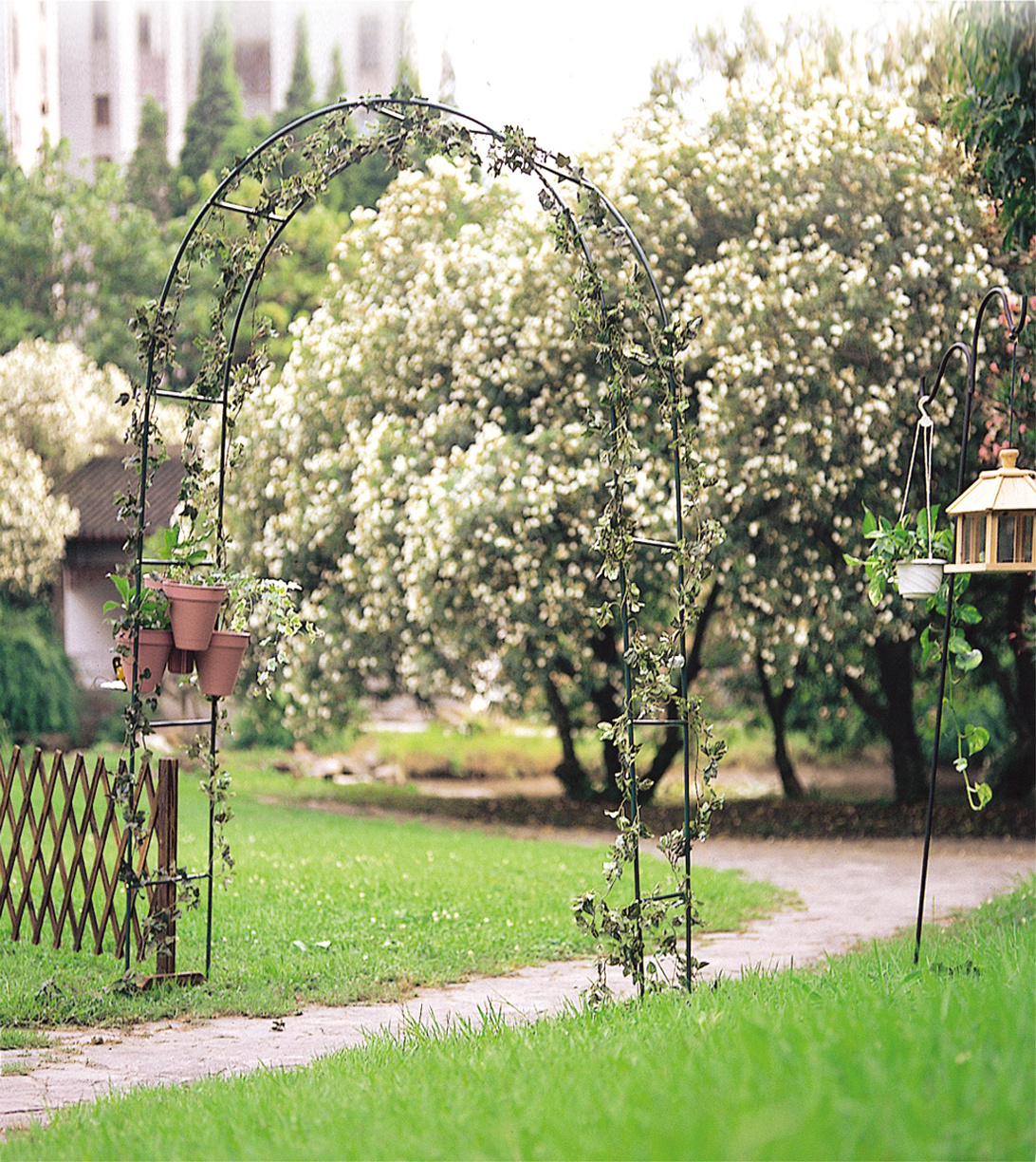 Wrought iron gate metal rose garden decoration pergola arch