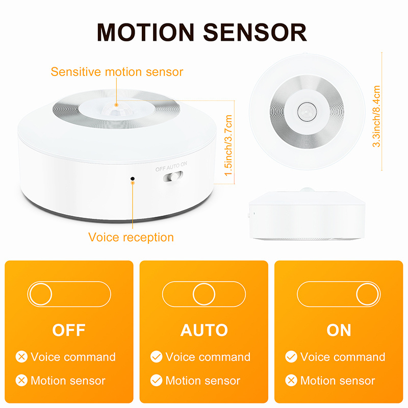 Best Price Night Sensor Ceiling The Perfect Bag Motion-activated Purse Motion Light