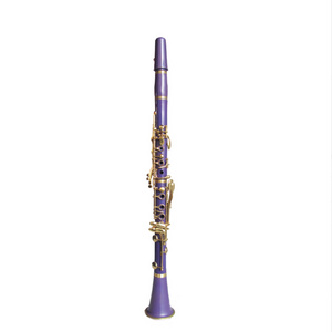 Beginner And Children Cheapest Price Abs Plastic 17Key Bb Key Clarinet  Plastic clarinet Purple Clarinet