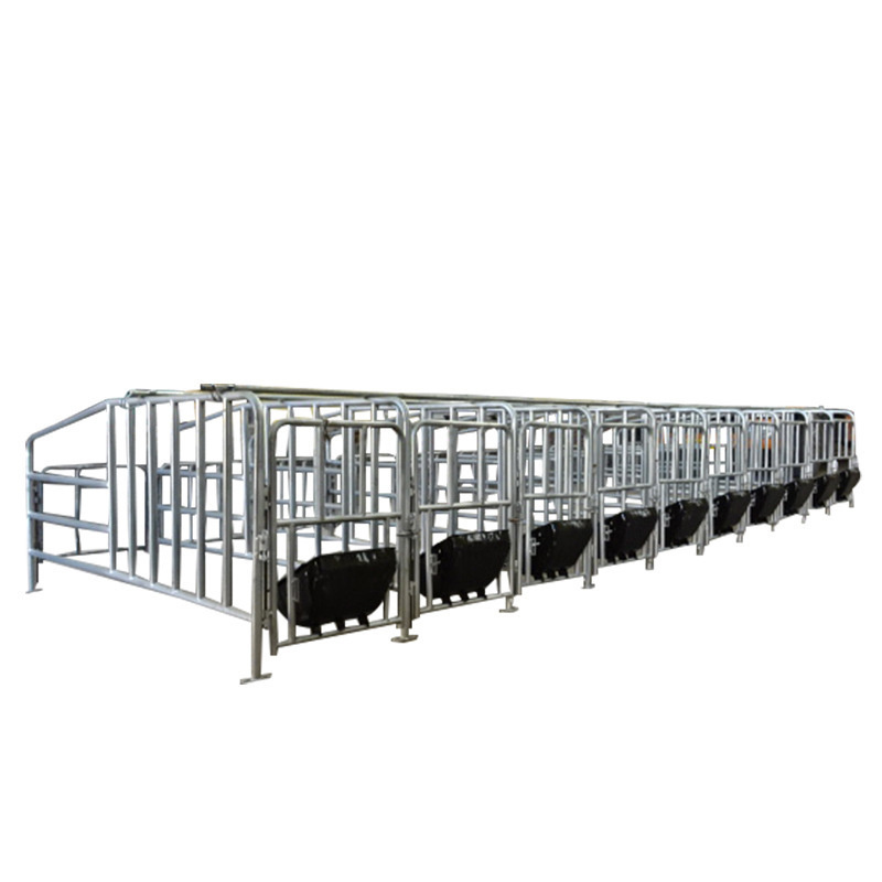 Pig Gestation Stall Galvanized Sow Farrowing Stalls For Pigs Fatten Stalls Swine Farrowing Nursery Pen With Feeder Trough