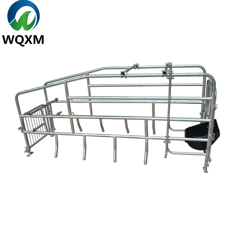 sow pig farrowing crate for pig cage