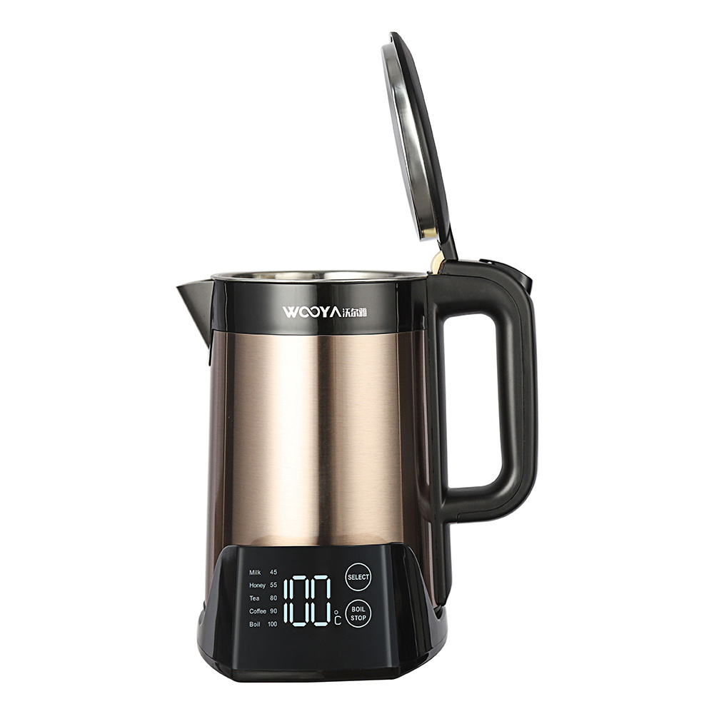 China supplier multifunction electric kettle temperature control health pot keep warm