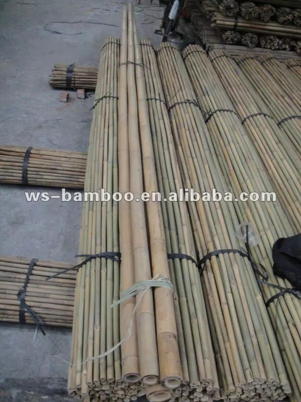 Decorative bambu poles, bambu pole, big bambu pole for support plants