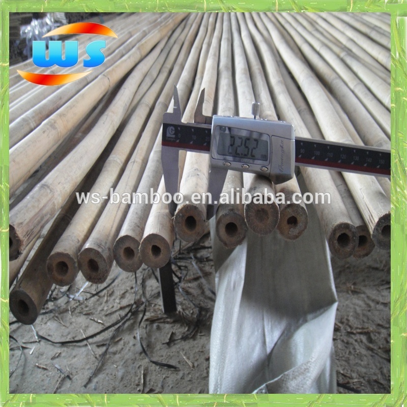 Decorative bambu poles, bambu pole, big bambu pole for support plants