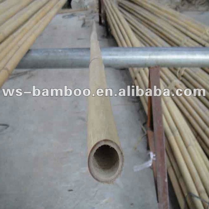 Garden Supplies/Cutted bamboo pole/Green bamboo pole