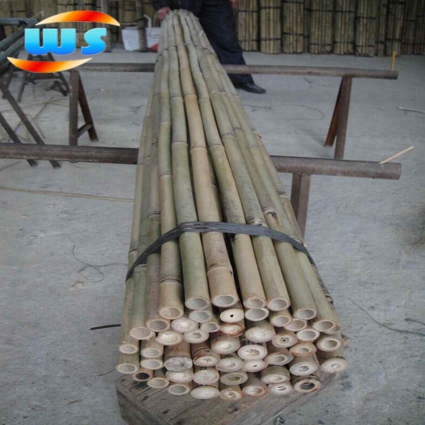 bamboo cane / poles for support plants for sale