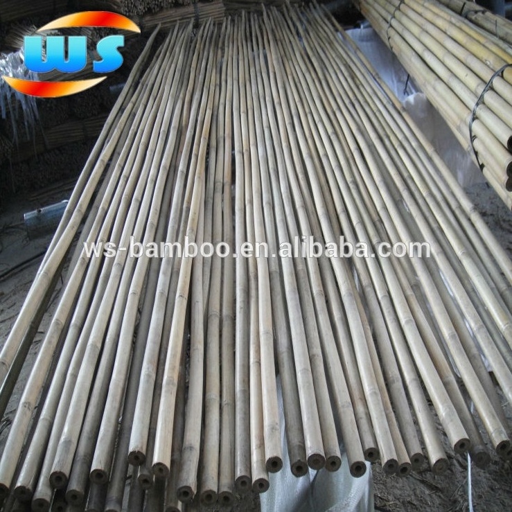 Decorative bambu poles, bambu pole, big bambu pole for support plants