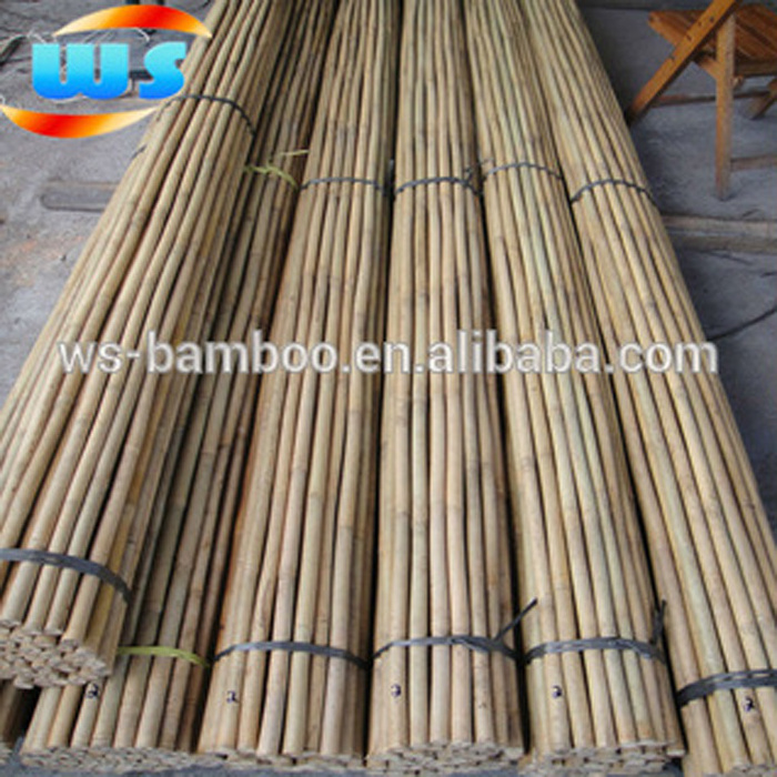 Bamboo stick is used for climbing plants vines