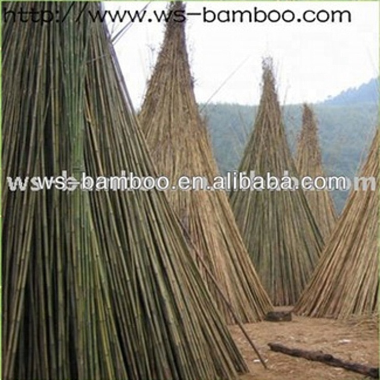 Garden Supplies/Cutted bamboo pole/Green bamboo pole