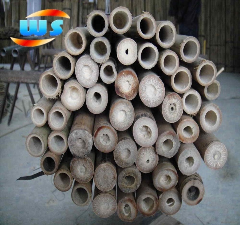 bamboo cane / poles for support plants for sale