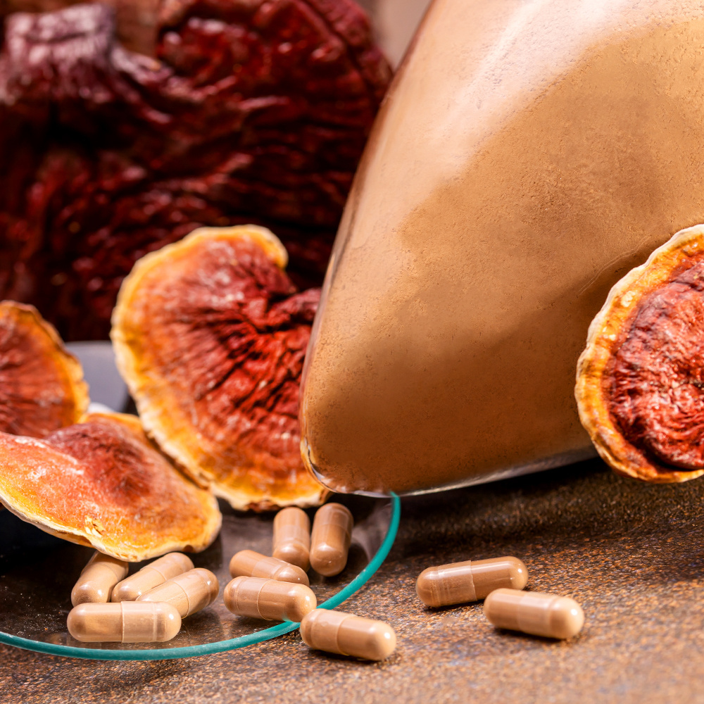 Wholesale Ganoderma Lucidum Extract Powder - 2% Triterpenoids & 20% Polysaccharides