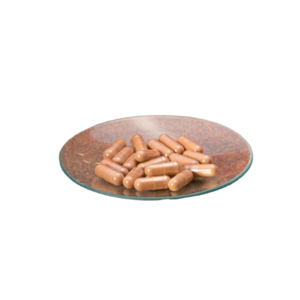 Factory Direct Sale Cost-Effective Ganoderma Lucidum Extract Capsules - 1% Triterpenoids & 40% Polysaccharides