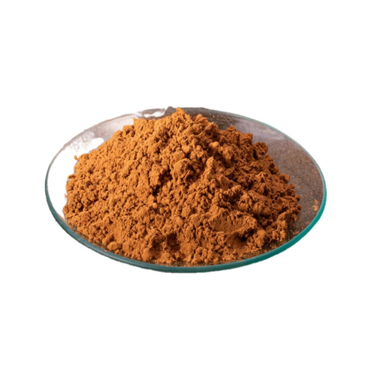 Wholesale Ganoderma Lucidum Extract Powder - 1% Triterpenoids & 40% Polysaccharides