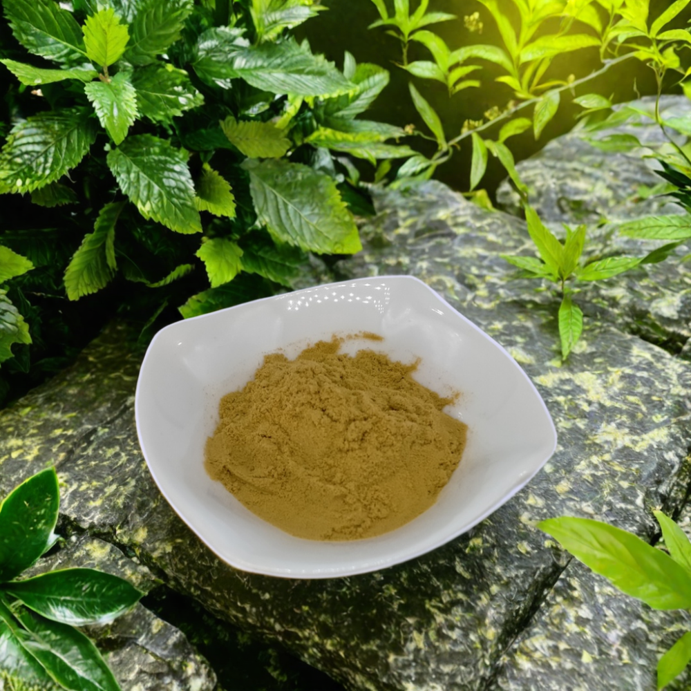 Pure Top Quality Herbal 10:1 Momordica Charantia Extract Powder