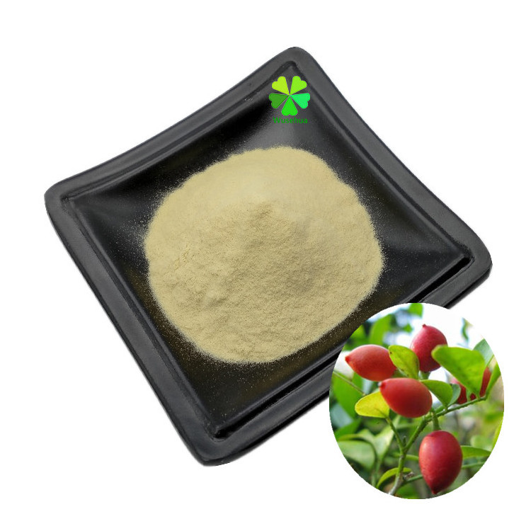 Hot selling products miracle berry fruit powder