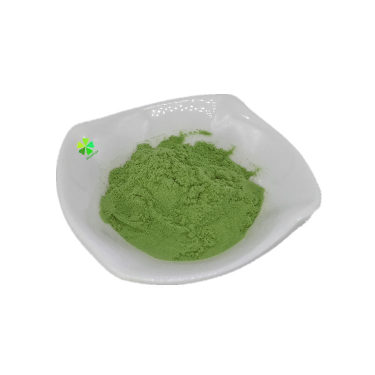 Wholesale Organic Food Additives Dehydrated Spinach Powder