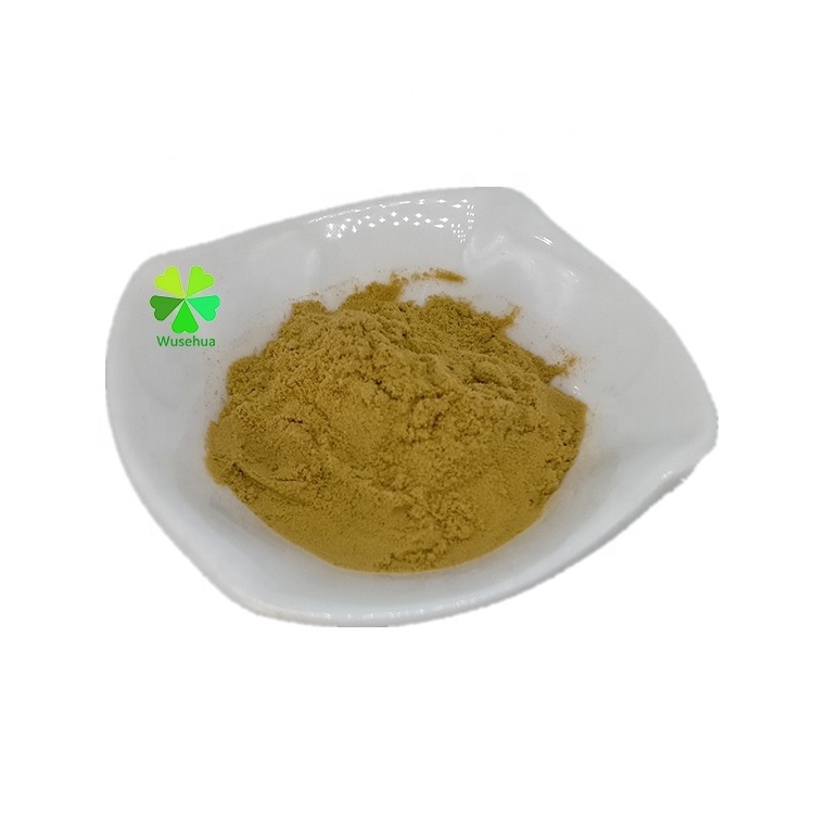 Hot Selling 10:1 Bamboo Shoot Extract Powder With Best Price