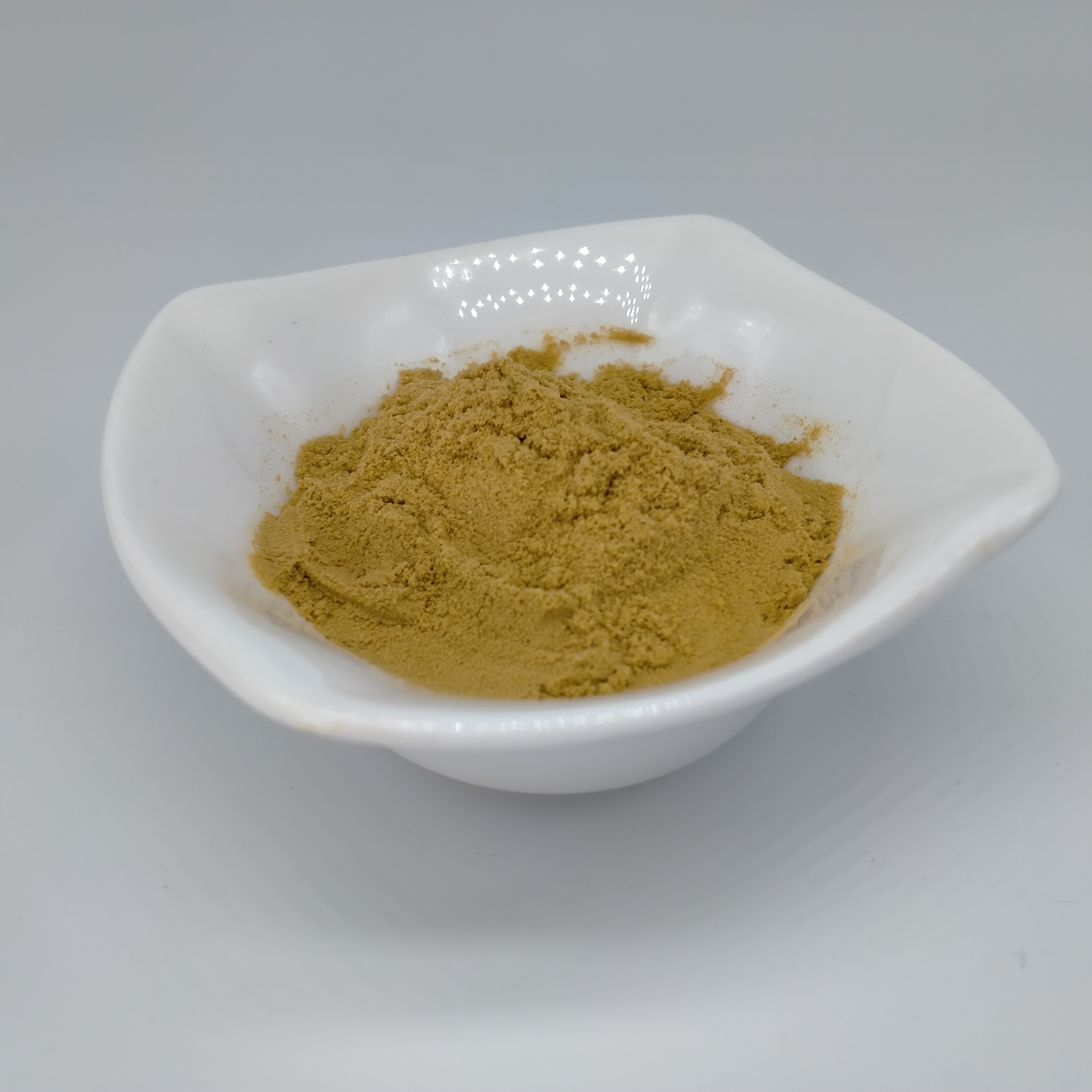 Hot Selling 10:1 Bamboo Shoot Extract Powder With Best Price