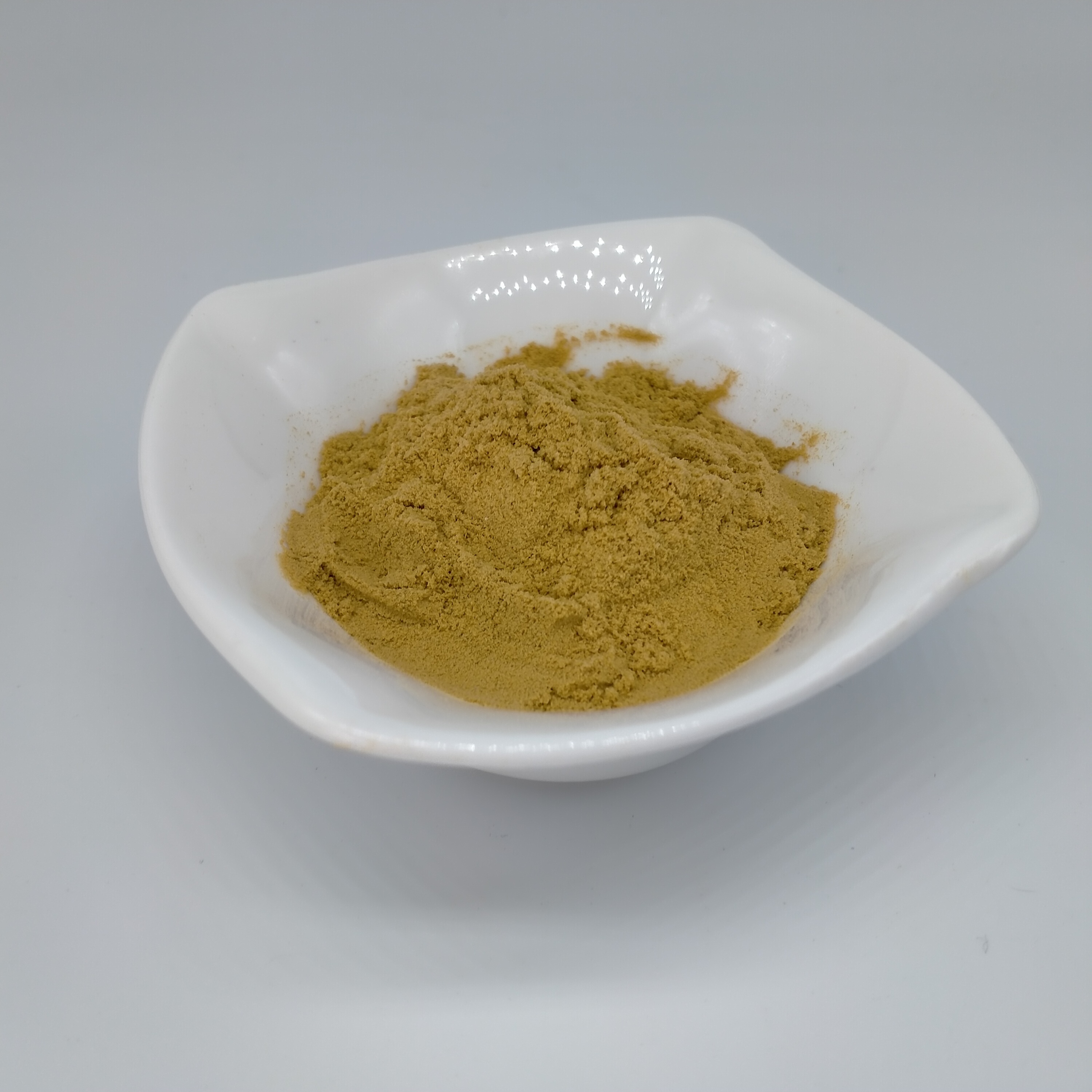 Pure Top Quality Herbal 10:1 Momordica Charantia Extract Powder