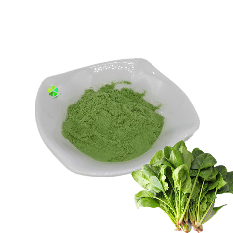 Wholesale Organic Food Additives Dehydrated Spinach Powder