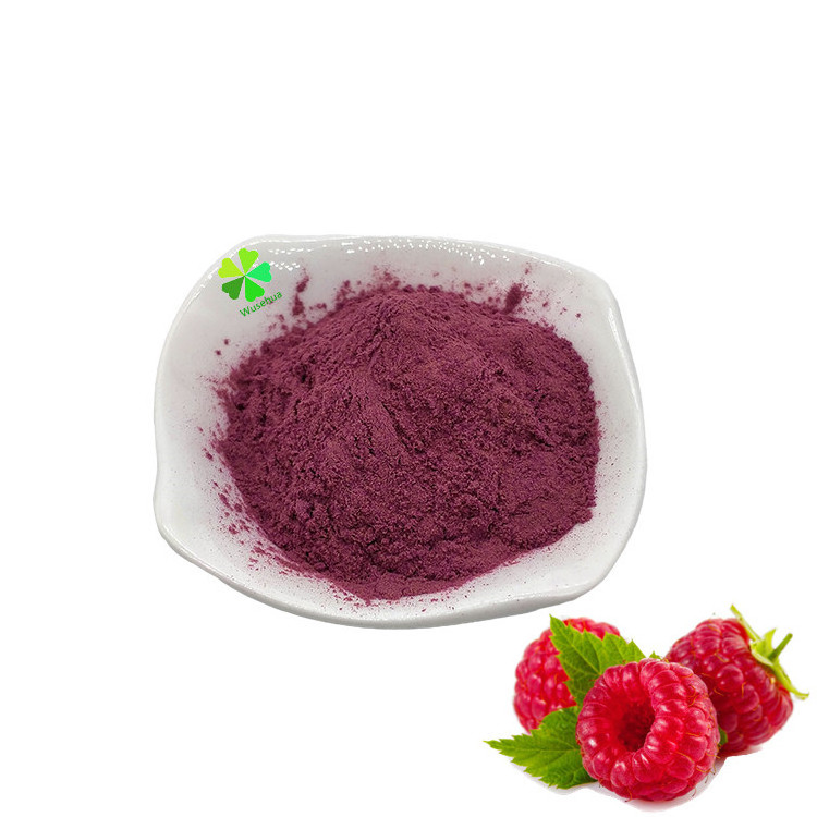 Factory supply raspberry freeze-dried fruit powder raspberry extract raspberry powder