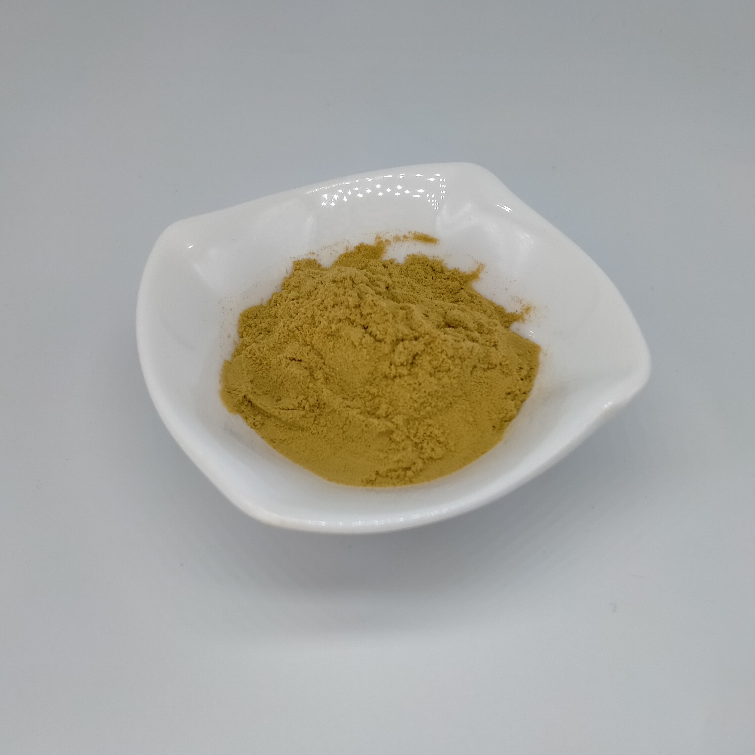 Hot Selling 10:1 Bamboo Shoot Extract Powder With Best Price