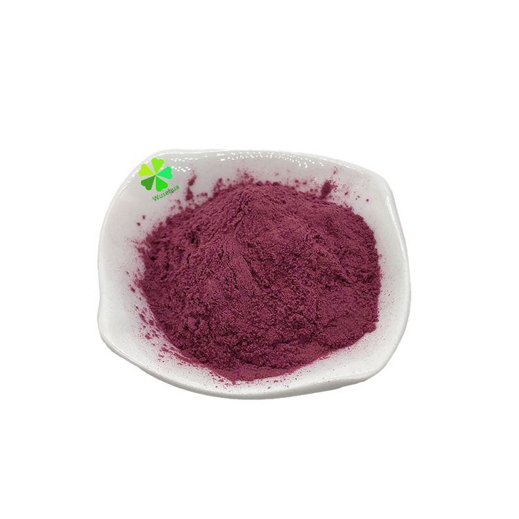 Factory supply raspberry freeze-dried fruit powder raspberry extract raspberry powder