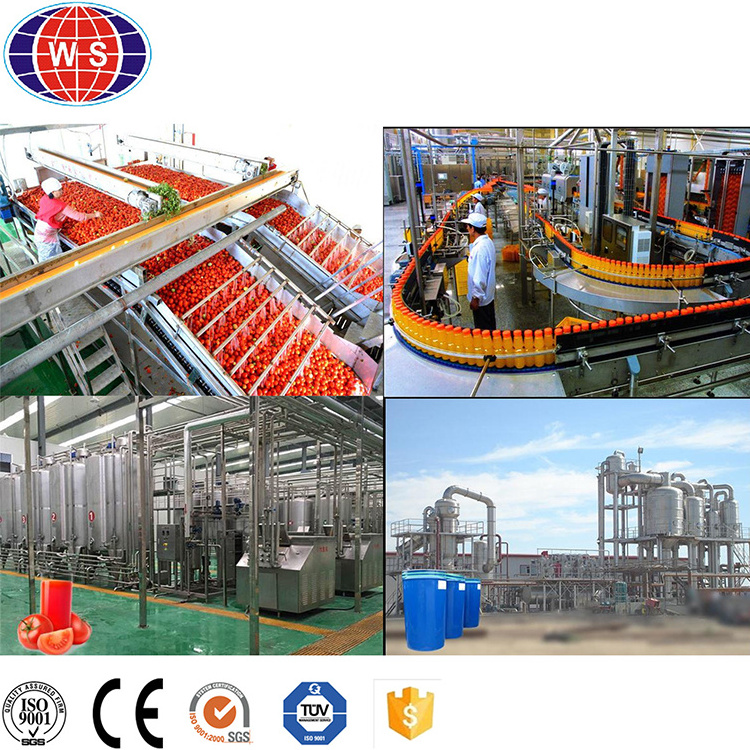 Factory Price Tomato Paste Production Line High Productivity Tomato Sauce Machine Tomato Concentrate Production Line