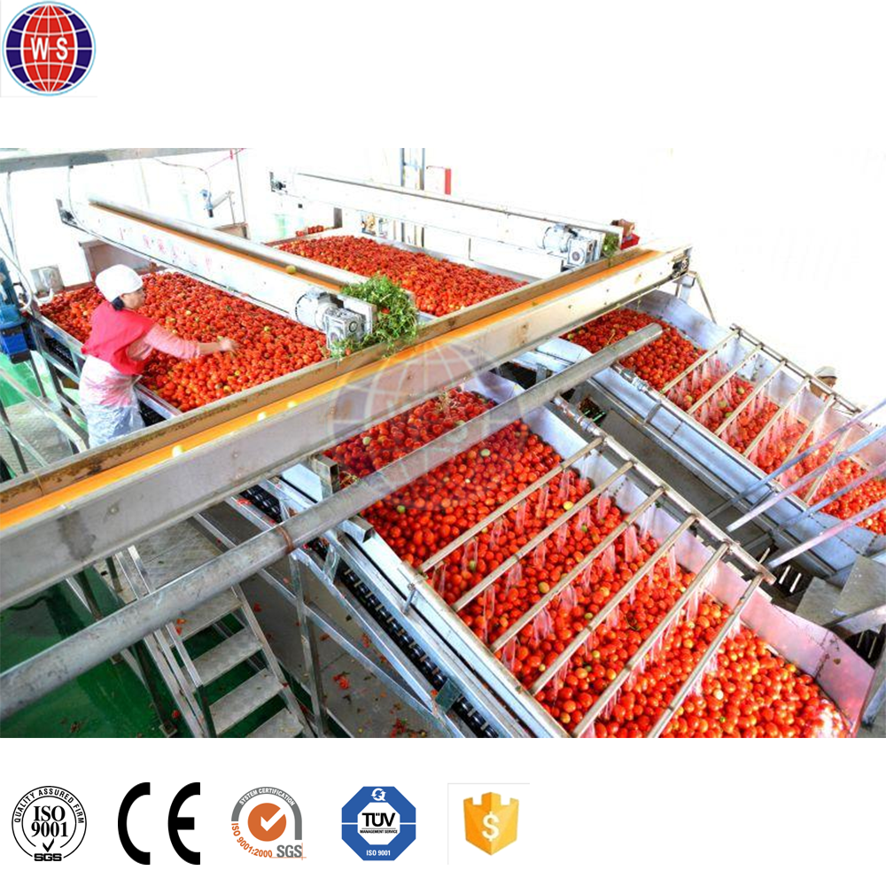 Custom Made Tomato Puree Making Machine Commercial Tomato Sauce Making Machine