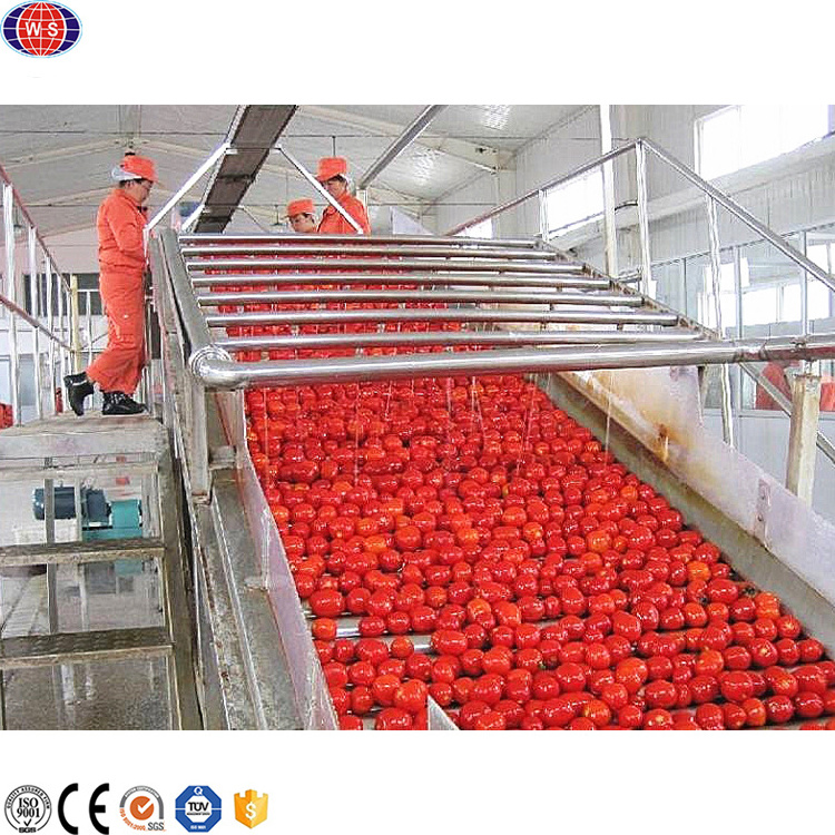 Custom Made Tomato Puree Making Machine Commercial Tomato Sauce Making Machine