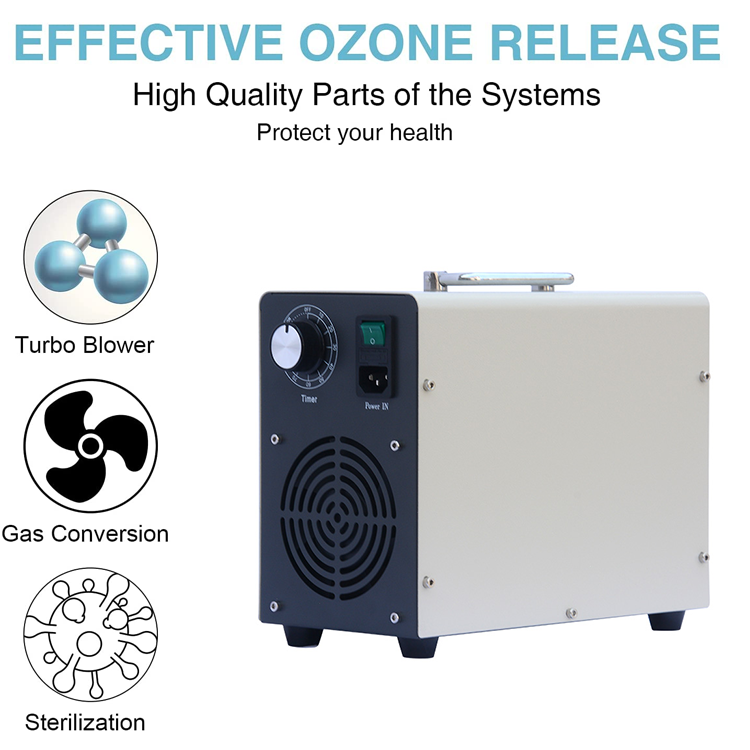 Custom High Concentrated 5-48g/h Ozone Generator Air Treatment Ozone Sterilizer for Home PM2.5 and Car Pets Deodorizing