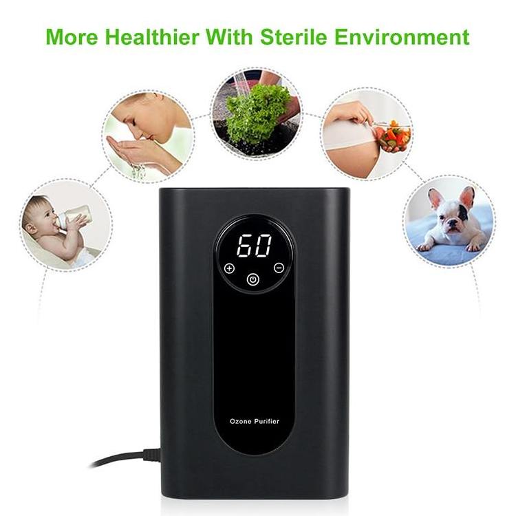 WSTA 500mg/h purify vegetable fruit water ozone food sterilizer