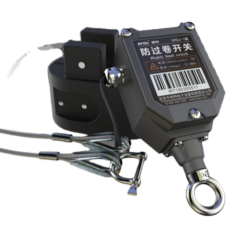 Limit Switches for Hoist and Cranes Safety from China supplier