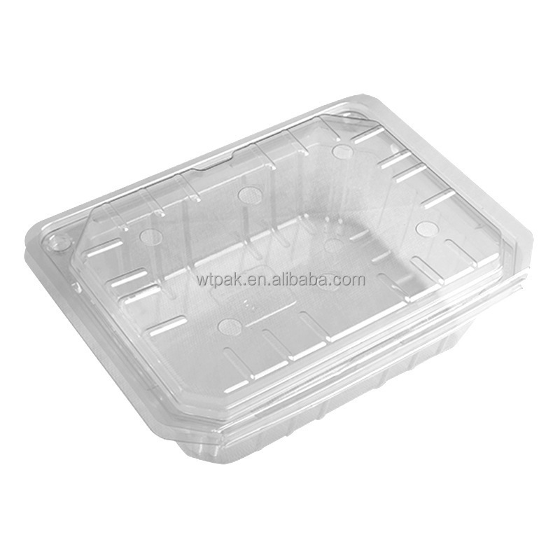 Low Price Plastic Fruit Salad Packaging Disposable Transparent Food Clamshell Container