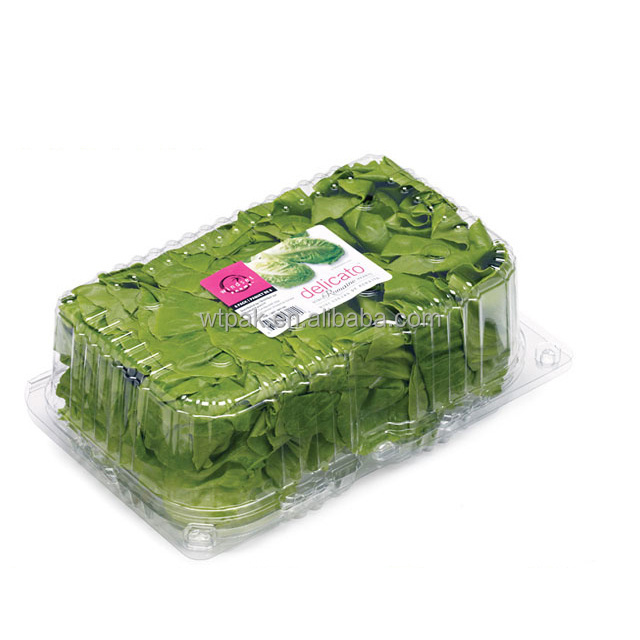 Low Price Plastic Fruit Salad Packaging Disposable Transparent Food Clamshell Container