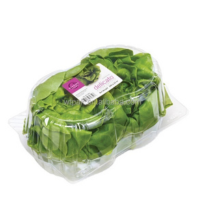 Low Price Plastic Fruit Salad Packaging Disposable Transparent Food Clamshell Container