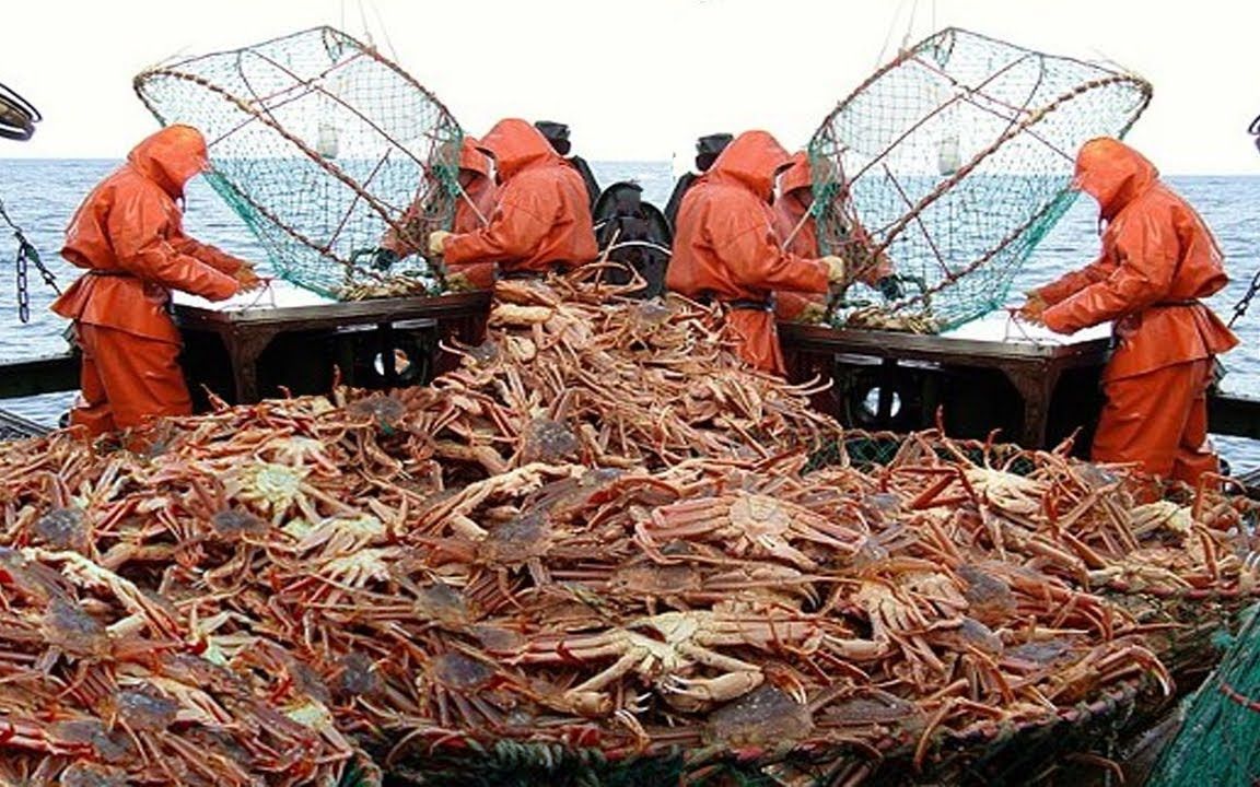 Portable King Crab Pots Plastic Coated Wire Traps Lobster Cages For American Market