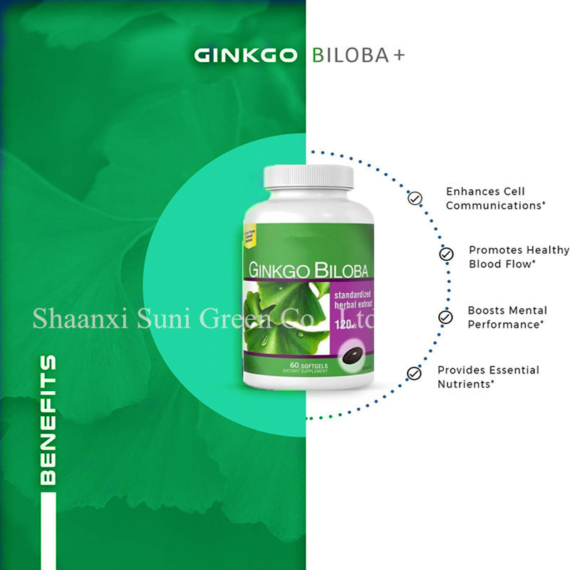 OEM/ODM/OBM Herbal Leaf Supplement Gingko Biloba Capsules Supports Brain Function Ginkgo Biloba Extract Soft Capsules