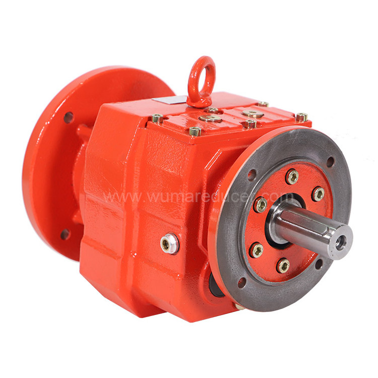 China Manufacturer R Series Chinese Speed Reducer Inline Helical Gearbox With Motor