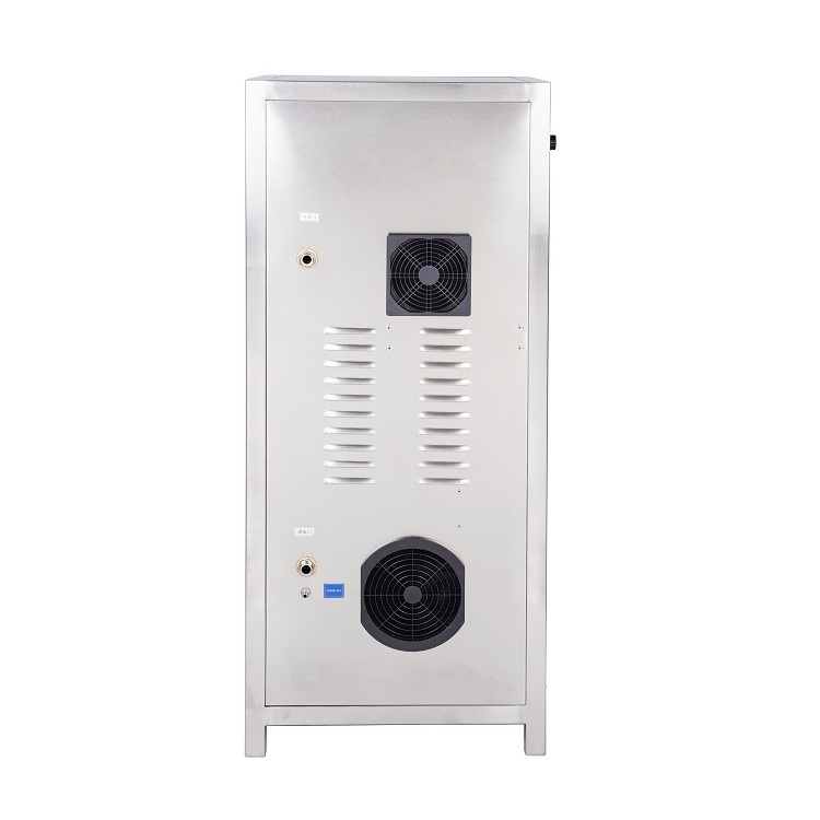 30g 40g 50g 60g 100g commercial ozone generator for water purification plant of swimming pool air purifier