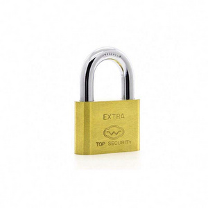 Wholesale Prices China Manufacturer Different Types Brass Padlock Furniture Lockout Door Locks