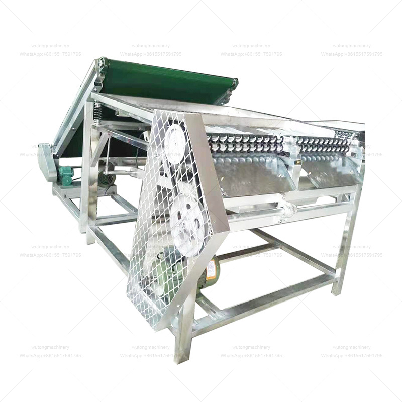 Automatic Pea Sheller/green Bean Shell Removing Machine/fava Bean Peeler