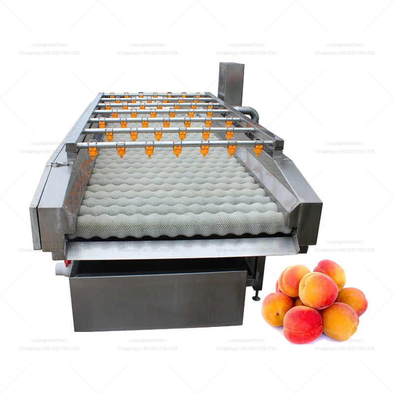 Tigernut Citrus Fruit Vegetable Washing Machine