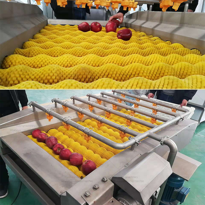 Tigernut Citrus Fruit Vegetable Washing Machine