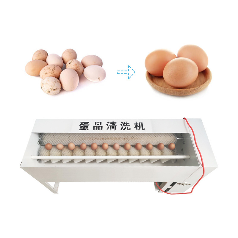 Mini Egg Shell Cleaner Washer Egg Washing Machine Automatic Small Single 12 Row Brush Rollers Fresh Duck Egg Cleaning Machine