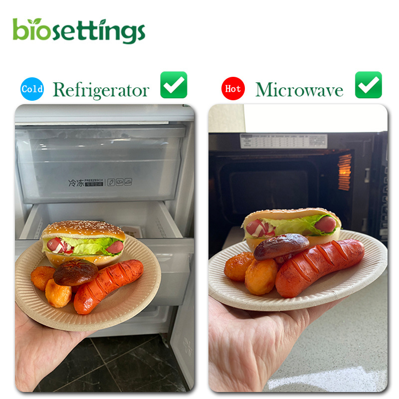 Biodegradable sugarcane pulp bagasse food tray platos platos divididos with lid 2 3 4 5 6 compartment disposable plate