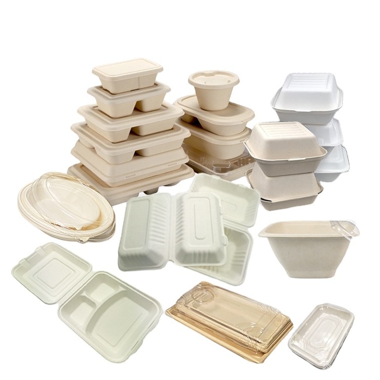 Color Custom Food Catering Packaging Disposable Food Box Airline Biodegradable Food Container with Clear Lid