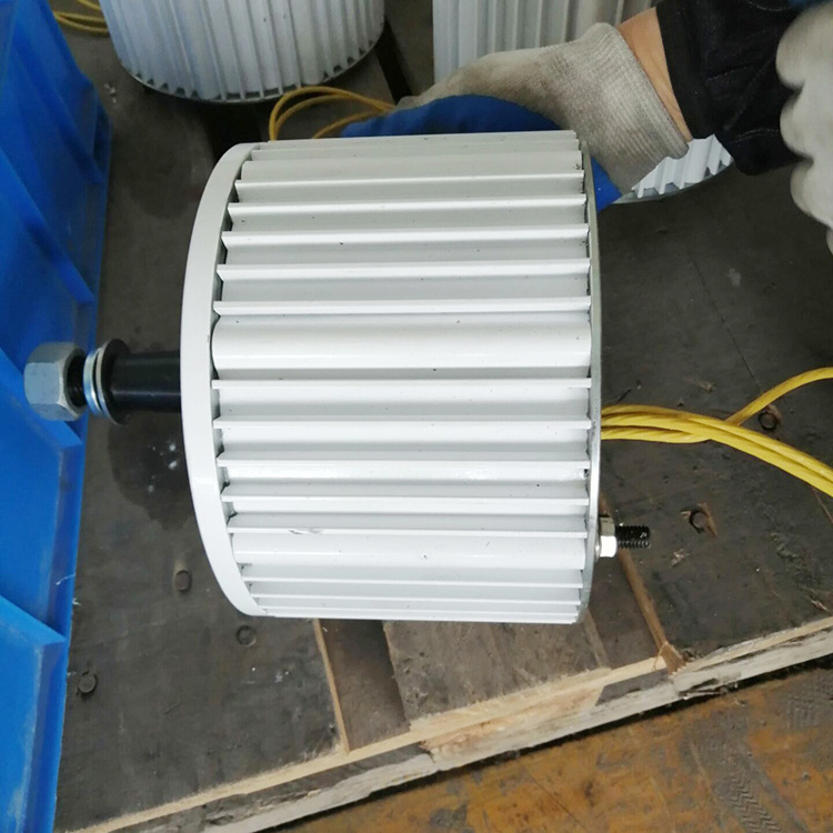 Hot Sale Motor Free Energy Wind Turbine Pmg 600w Permanent Magnet Alternator Low Rpm Permanent Magnet Generator