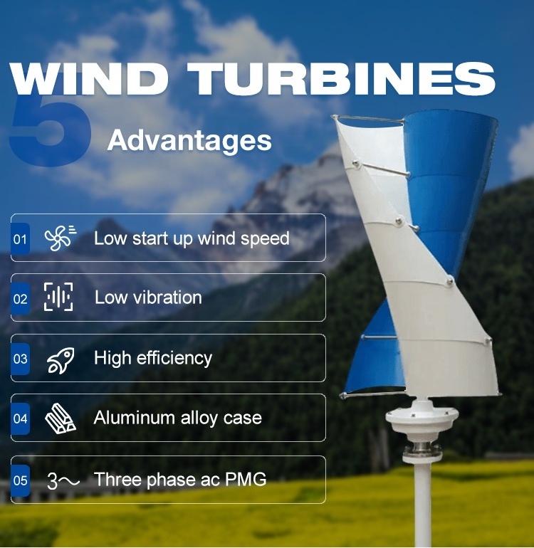 100w 200w 12v 24v 48v vertical 10 blades wind turbine magnetic levitation wind generator