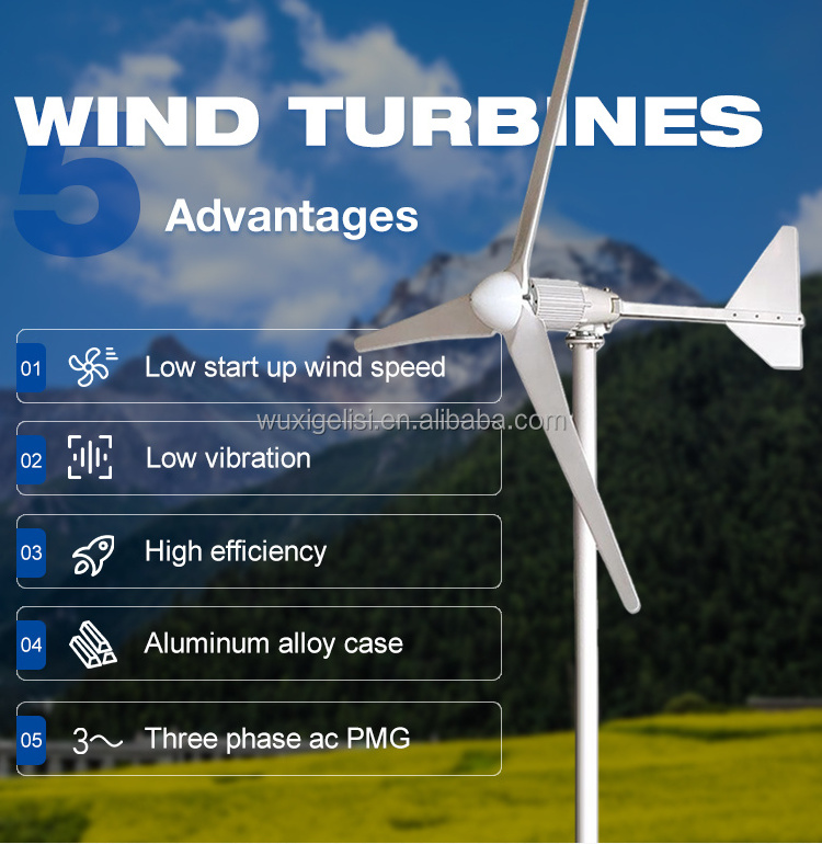 Wind generator 2kw wind turbine 48v 96v high performance 200w 300w 1kw 1000 watt tree maglev wind turbines